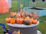 Dýňování s rodiči